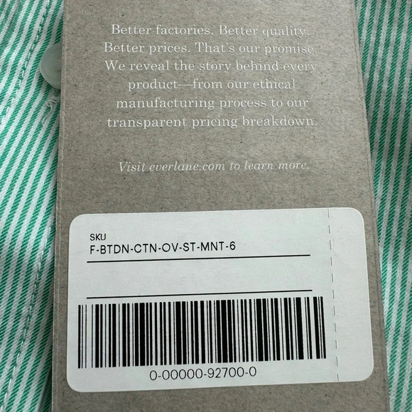 Everlane Classic Preppy Button Down Pinstripe top Size 6 Mint Green Cotton - Picture 7 of 10